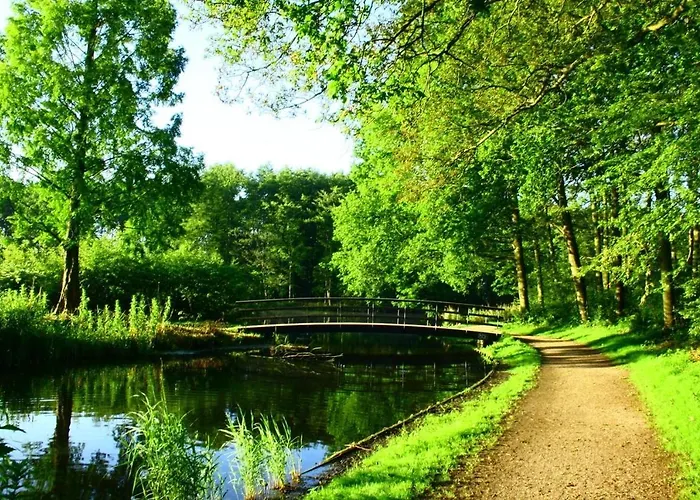 The Royal - R.q.c. * Den Haag