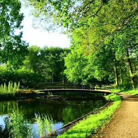 The Royal - R.q.c. * Hága