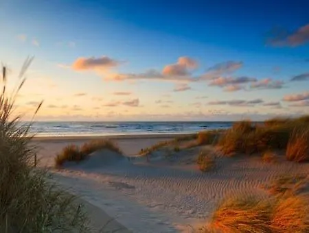 The Royal - R.q.c. *